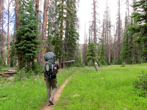 On the trail to Island Lake