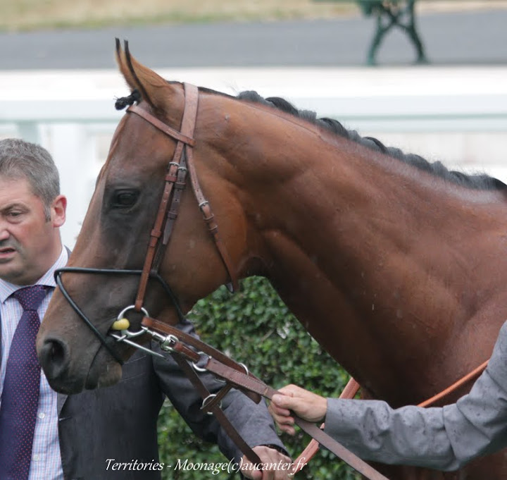 Photos Chantilly 12-07-2015 IMG_2867