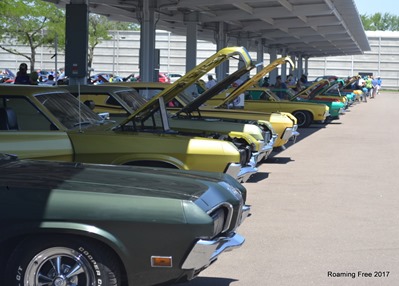 50th Anniversary Cougar Show