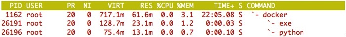 Docker host top wsgiref idle