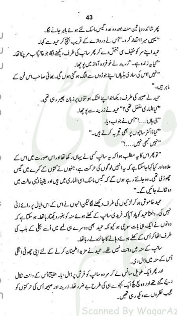"Pagal