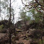 To Cockle Creek Lookout (119728)