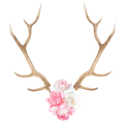 Little Stag Floral Couture logo