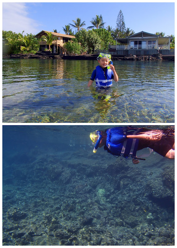  Snorkeling at Kapoho Tidepools with kids