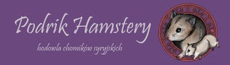 baner podrik hamstery