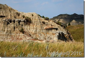 Teddy Roosevelt NP 091