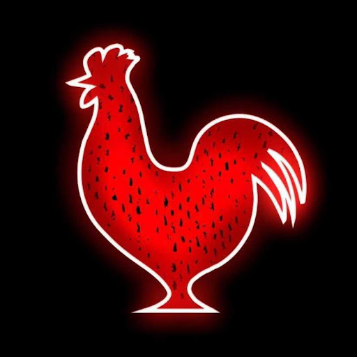 Houston TX Hot Chicken logo