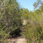 Highway Ridge track (206359)