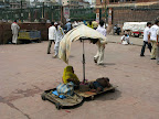 bettler vor jama masjid (delhi)