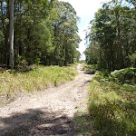 The Great North Walk near Mt Heaton Communications tower (359252)