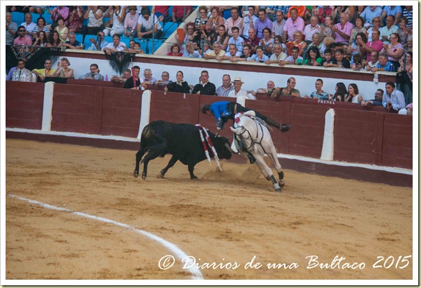 Toros Feria 2015-9776