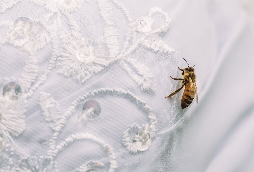 Photographe de mariage Chantal Elise Roeske (chantalelisephot). Photo du 10 mars 2020