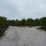 Intersection near the Awabakal Viewpoint in the Awabakal Nature Reserve (391763)