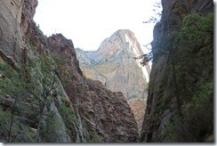 Hiking Trails in Zion-007