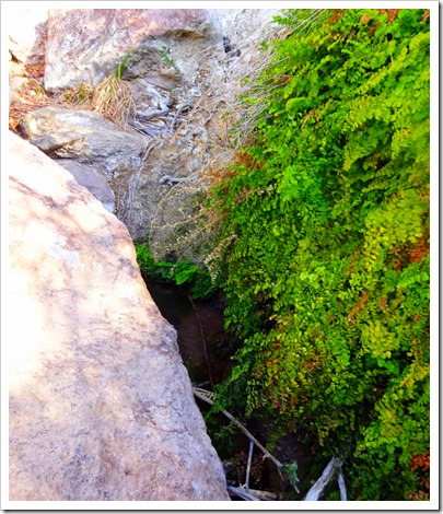 Mule Ears Spring Trail