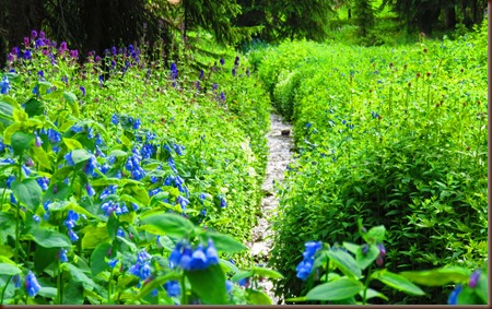 Ouray24-25 Jul 2016b