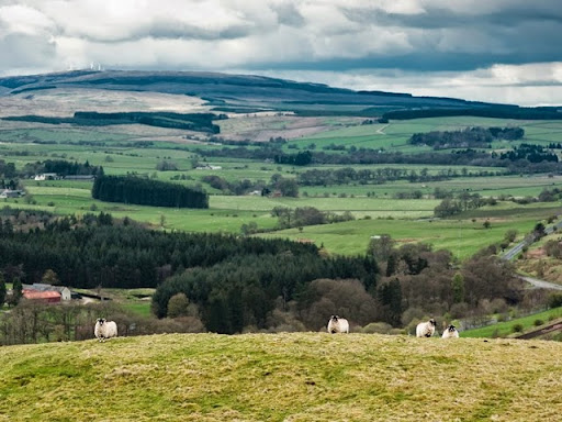 Newark Farm, Dumfries and Galloway
