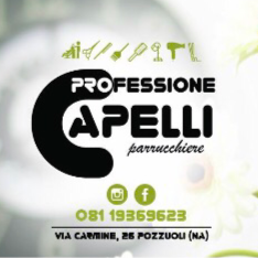 Professione Capelli