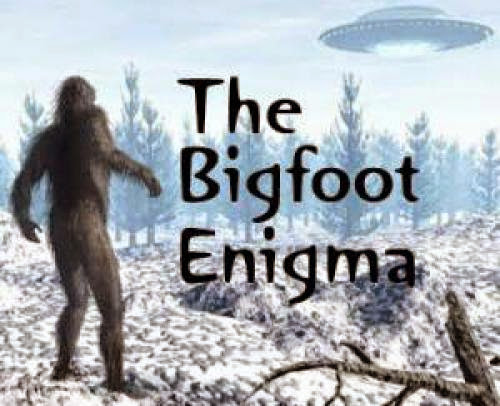 The Bigfoot Enigma