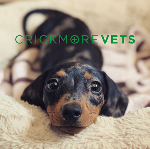 CrickmoreVets logo