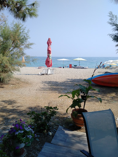 Castle Camping | Κάμπινγκ Κάστρο | Πλαταμώνας | Νέος Παντελεήμονας