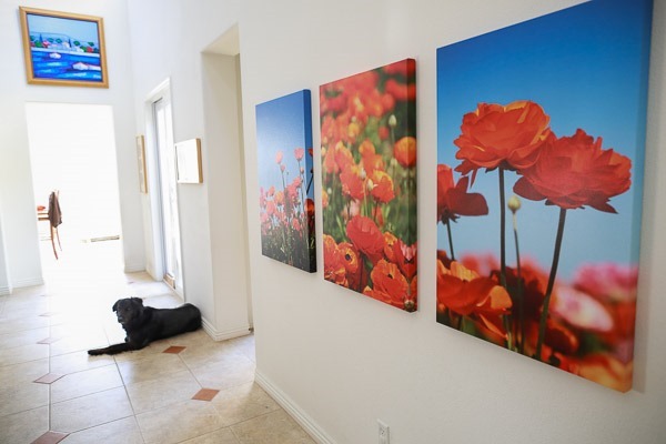 wall - 3 24x36 canvases