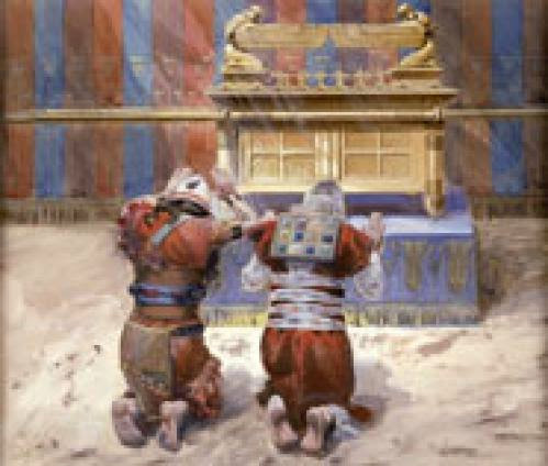 The Ark Manual The Ark Manual