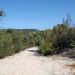 View from service trail down to Bantry Bay (127126)