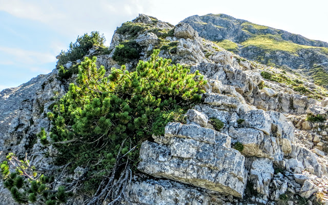 Blick Gipfel Entschenkopf primapage Oberstdorf Allgäu