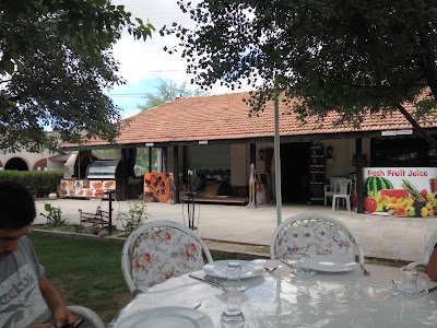 Photos of Akhal-teke Horse Riding Center