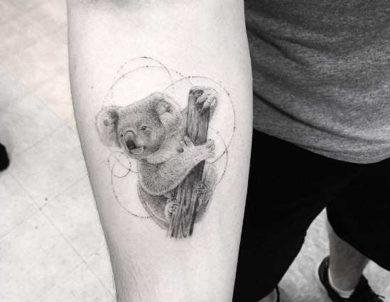 Esta koala Esta koala