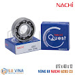 6203-2NSE9CM - Vòng bi, Bạc đạn, Bearing  Nachi 6203-2NSE9CM