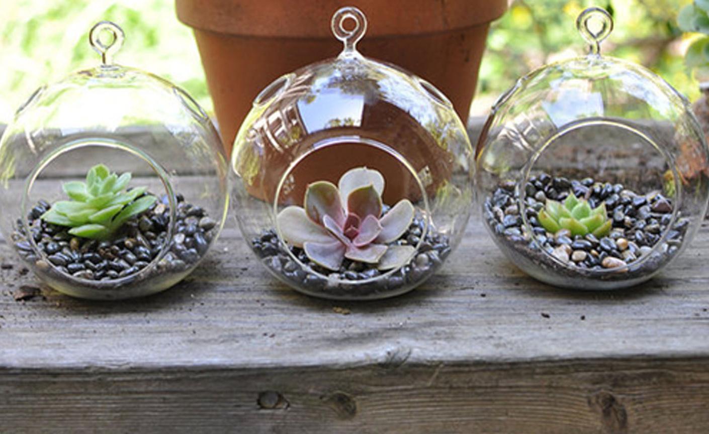 terrarium wedding centerpieces