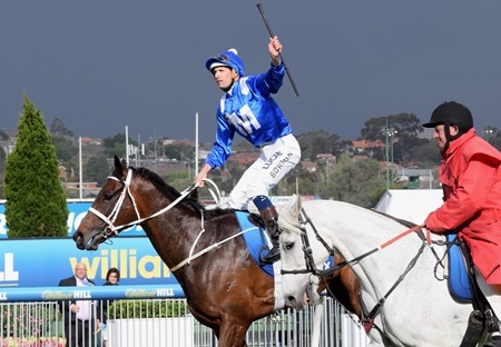 cox plate_winx 10