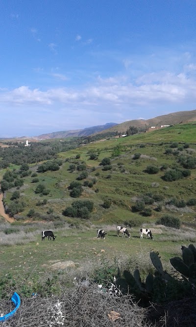 Photos of مسجد تزاط
