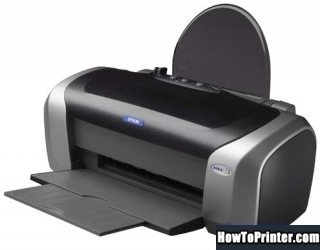 Reset Epson C86 printer with Resetter program