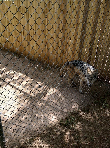 Wildlife Rescue Service «Southwest Wildlife Conservation Center», reviews and photos, 27026 N 156th St, Scottsdale, AZ 85262, USA