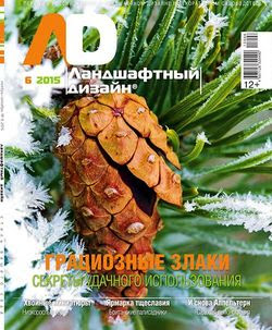 Читать онлайн журнал<br>Ландшафтный дизайн №6 2015<br>или скачать журнал бесплатно