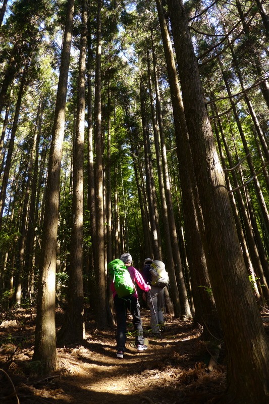 2014_0118 鳶嘴山西北稜→大崠山來回_019