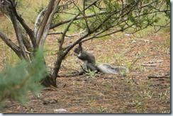 Manzano Mountains State Park-006