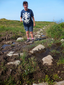 Stepping stones across the boggy ground above Morvah cliff