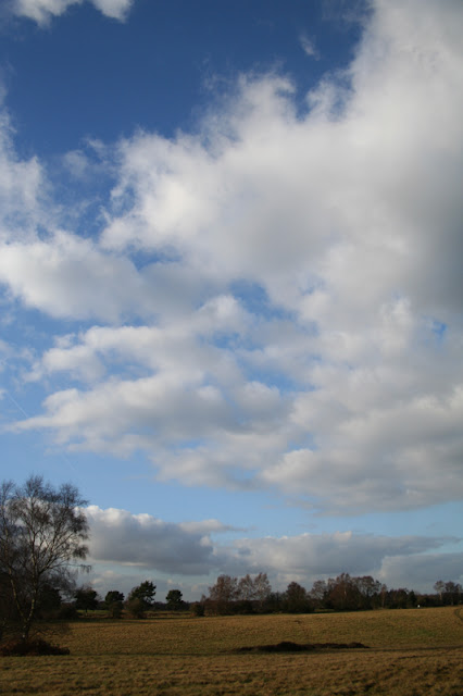 08 banstead heath sky