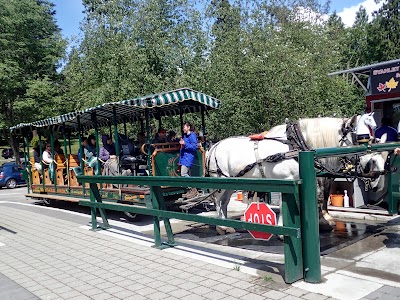 Photos of Stanley Park Horse-Drawn Tours