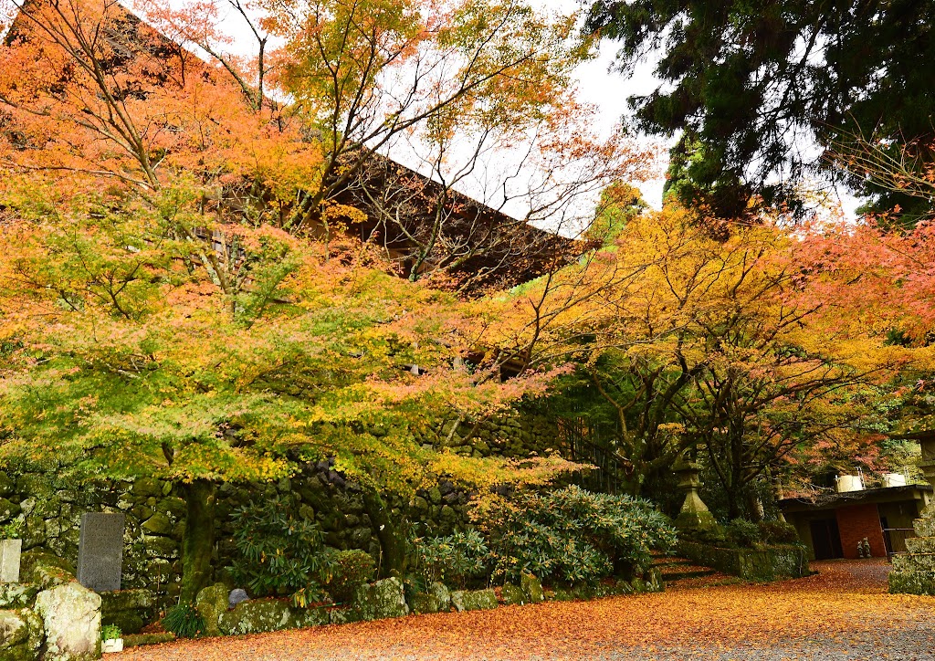 両子寺の紅葉 16年11月日 日々の 楽しい をみつけるブログ