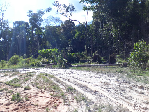 Parque Nacional do Jamanxim, Rod BR 163, s/n - Morais de Almeida, Itaituba - PA, 68181-030, Brasil, Parque_Nacional, estado Para