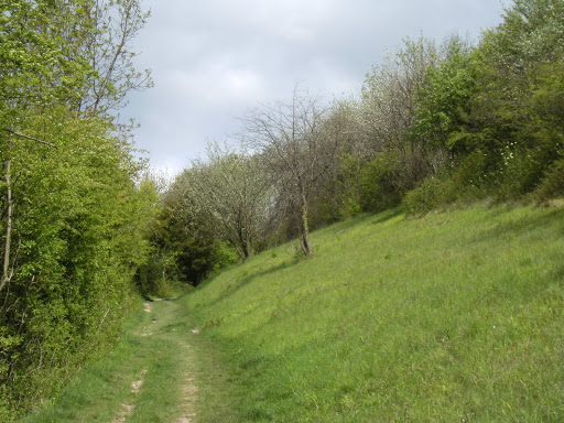 1005120018 From Whyteleafe to Riddlesdown