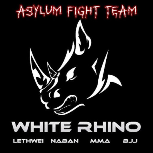 Asylum Fight Team logo