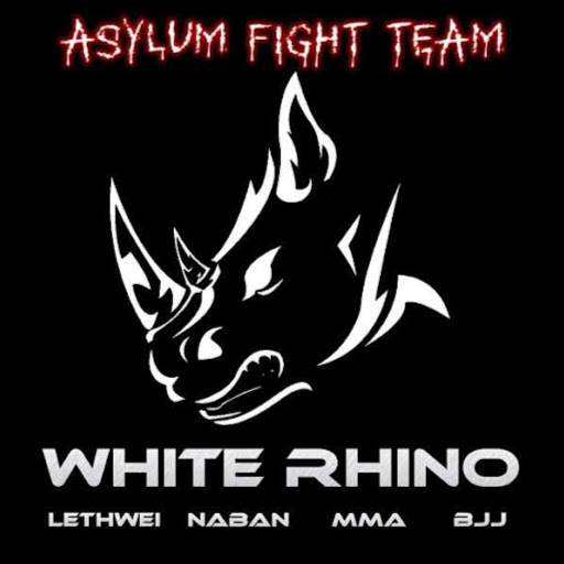 Asylum Fight Team