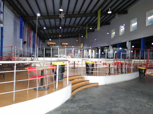 Ice Sport Center, Blvd Juan Alonso De Torres 2002, Valle del Campestre, 37150 León, Gto., México, Pista de patinaje sobre hielo | GTO