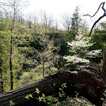 Webster's Falls in Ontario, Canada in Dundas, Canada 